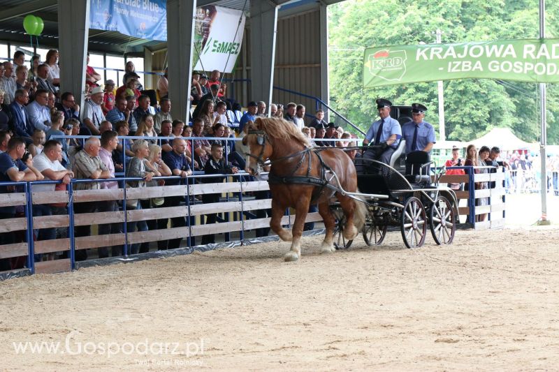 Regionalna Wystawa Zwierząt Hodowlanych i Dni z Doradztwem Rolniczym w Szepietowie 2017 (niedziela)