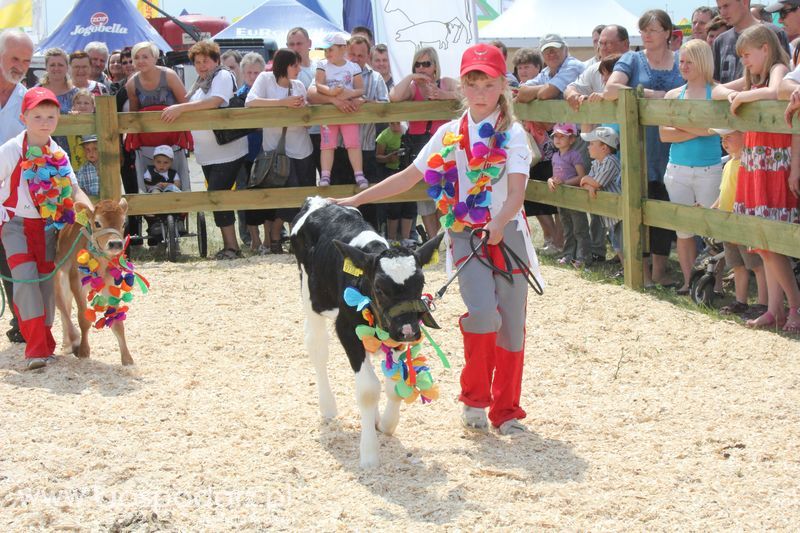 Wystawa Bydła: Konkurs Młodego Hodowcy - Opolagra 2011