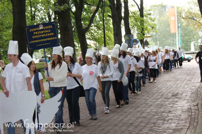 Świętomięs Polski w Chorzowie