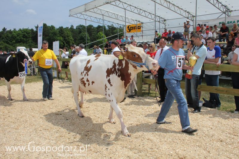 Superchampioni i championi Śląskiej Wystawy Bydła Mlecznego Opolagra 2011