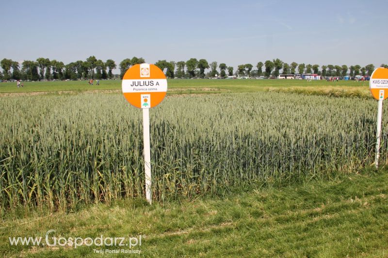 Zielone AGRO SHOW – POLSKIE ZBOŻA 2014 w Sielinku - niedziela