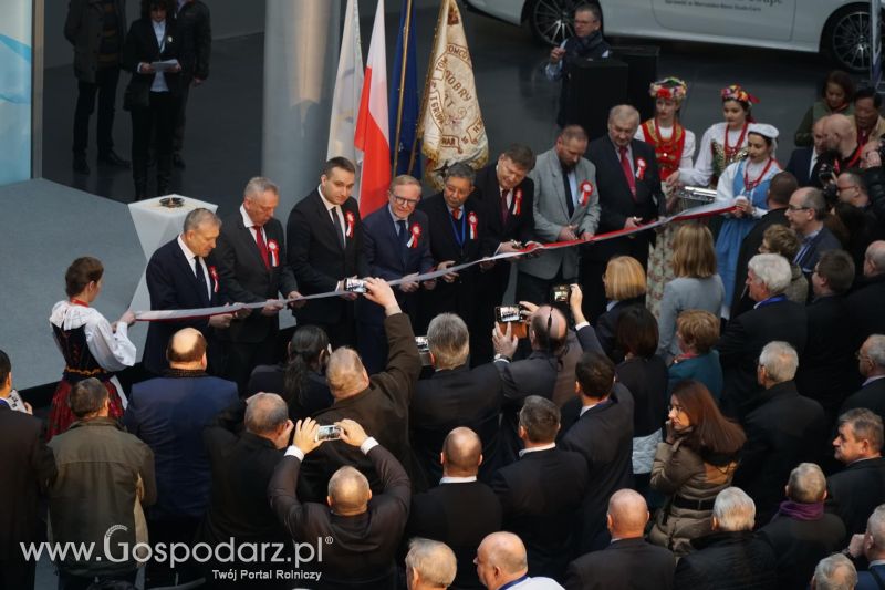 XXXVI Olimpiada Gołębi i Targi Gołębi Pocztowych i Akcesoriów otwarcie - dzień pierwszy