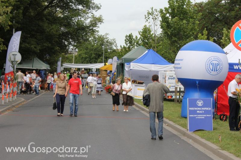 XIV Wojewódzko-Diecezjalne Dożynki Wielkopolskie w Ostrowie Wielkopolskim