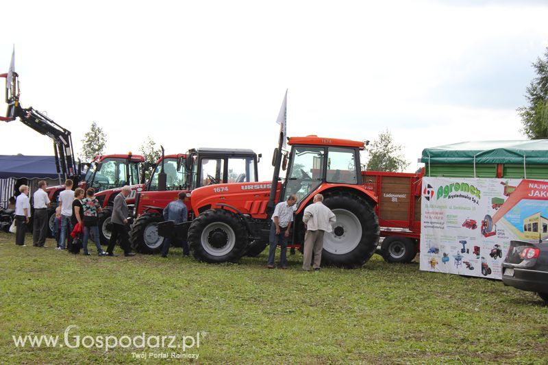 Festiwal Wieprzowiny w Targowisku Dolnym