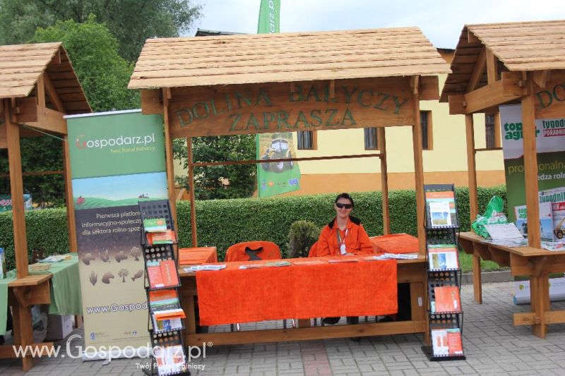 Święto Kaczki w Przygodzicach