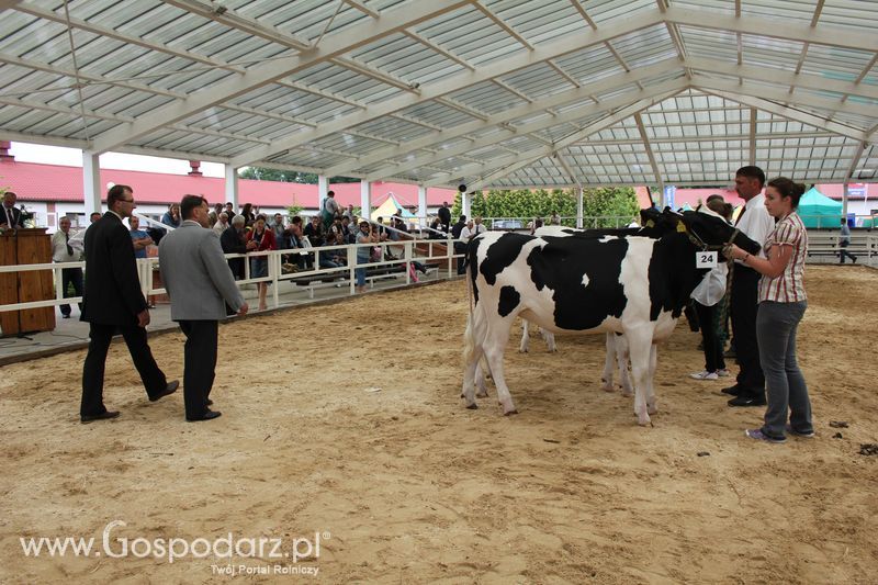 Wystawa bydła Sielinko 2011