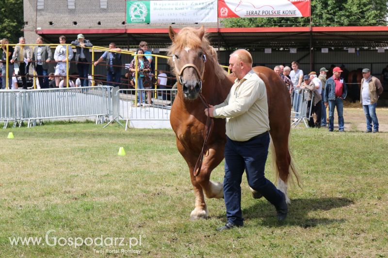 Regionalna Wystawa Zwierząt Hodowlanych i Dni z Doradztwem Rolniczym w Szepietowie 2017