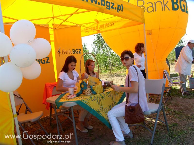 Festiwal Wieprzowiny Targowisko Dolne k/Lubawy 2012