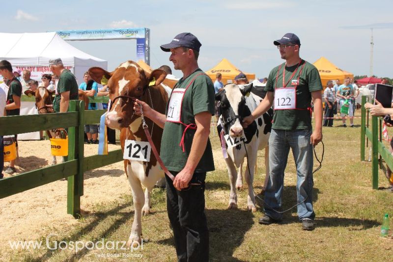 Opolagra 2013 cz.2
