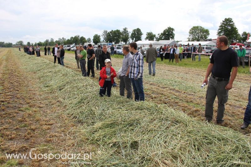 Pokazy polowe Romanów k/Krotoszyna