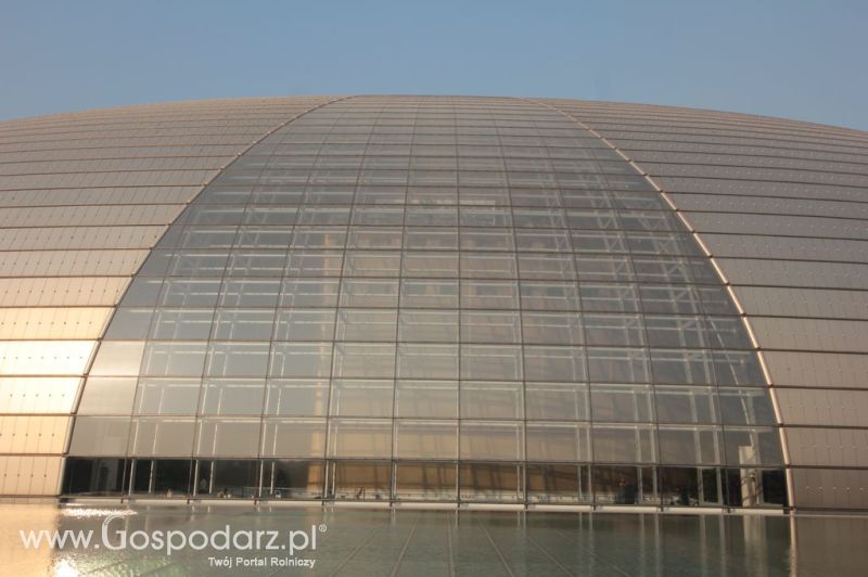 Gospodarz.pl w Chinach