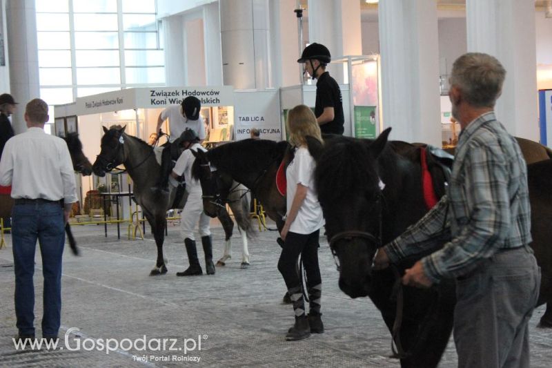 XXVI Krajowa Wystawa Zwierząt Hodowlanych - piątek