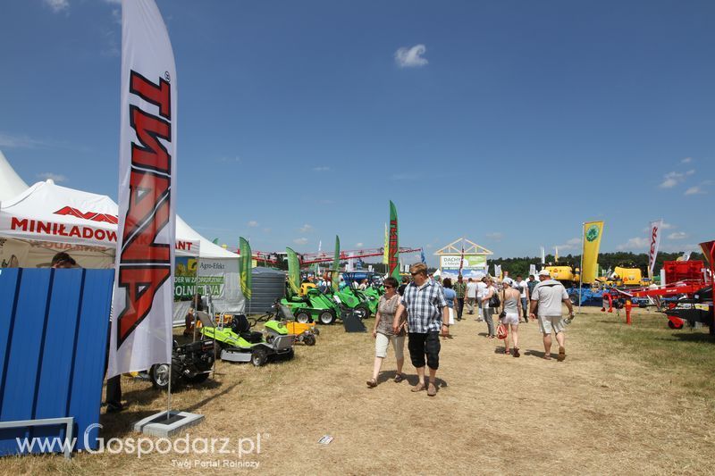 Serafin na OPOLAGRZE 2015