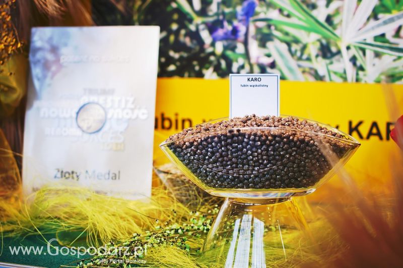 Polagra Premiery 2012 okiem fotografa cz. 4