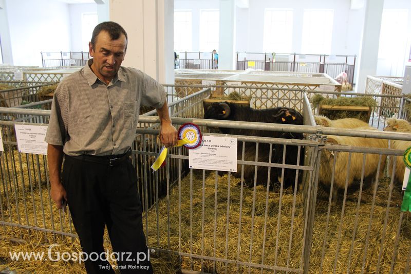 X Wystawa Ras Rodzimych - Wręczenie nagród