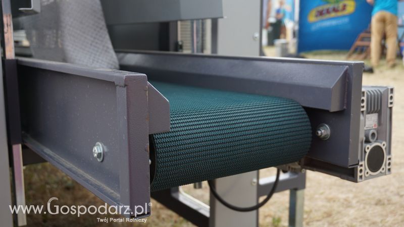 Domasz na OPOLAGRZE 2015