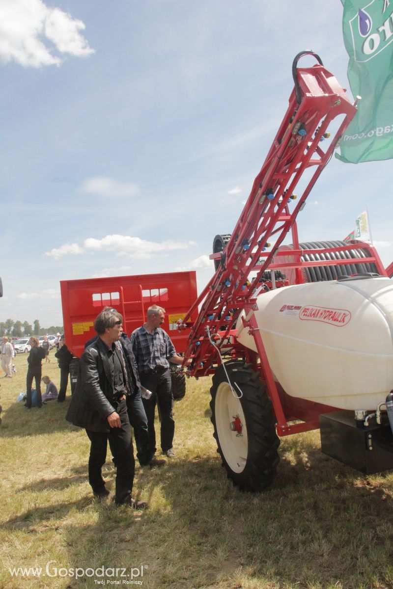 Zielone AGRO SHOW - Polskie Zboża 2015 w Sielinku