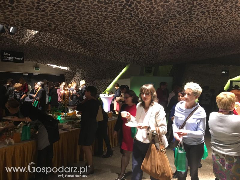 Agro na obcasach w Toruniu