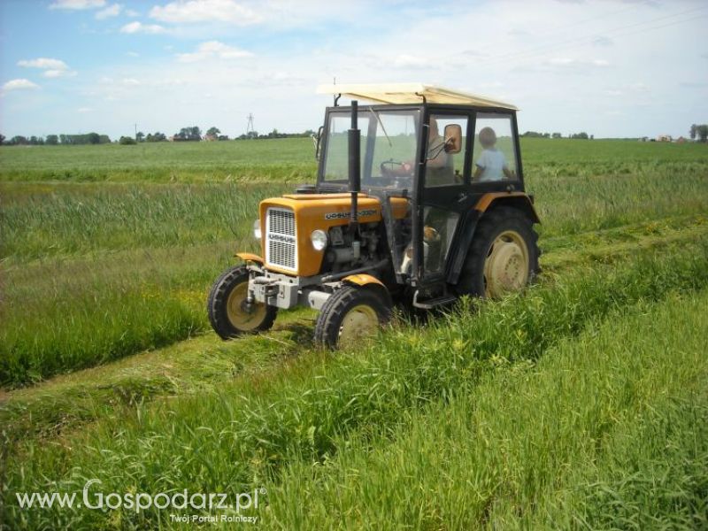 pierwsze sianokosy w roli głownej ursus c330M...