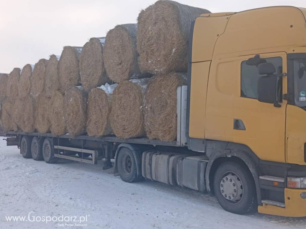 Słoma bela 160 z pasówki