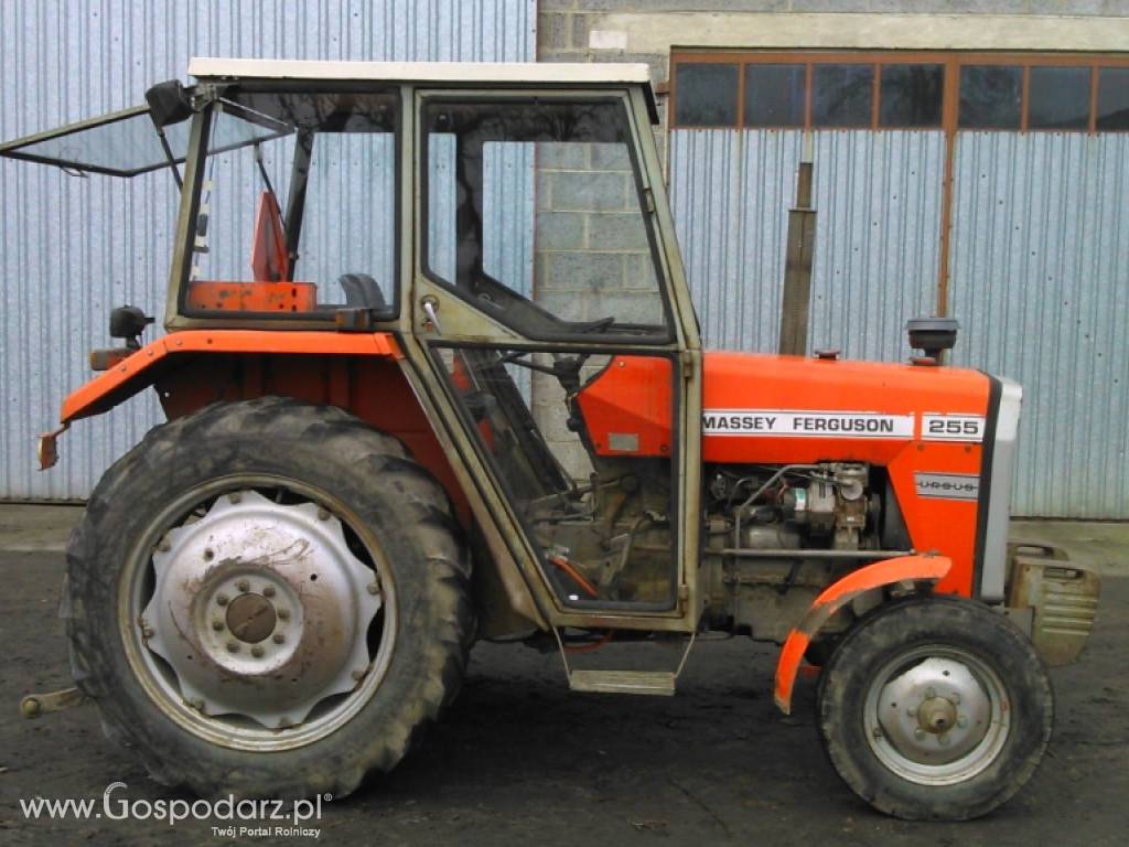 Massey Ferguson MF 255, nie 3512 1 właściciel oryginał 8