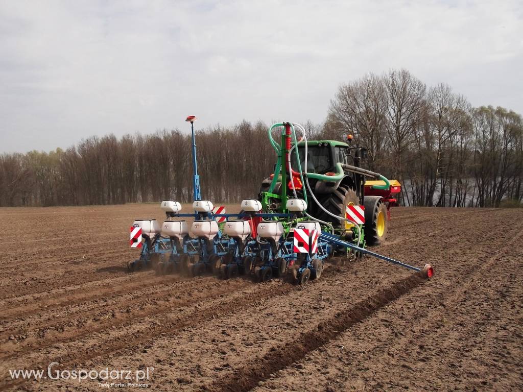 Siew bezorkowy Strip - Till (uprawa pasowa) buraków, kukurydzy, rzepaku