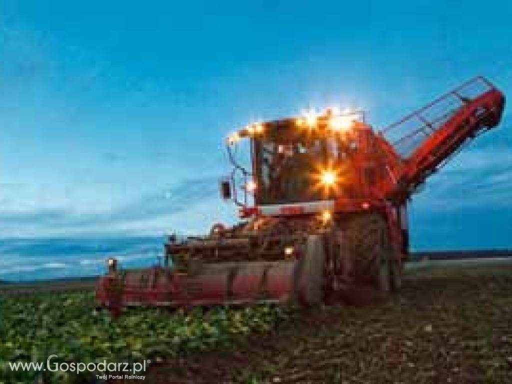 Agrifac Big Six sześciorzędowy kombajn do zbioru buraków cukrowych 4