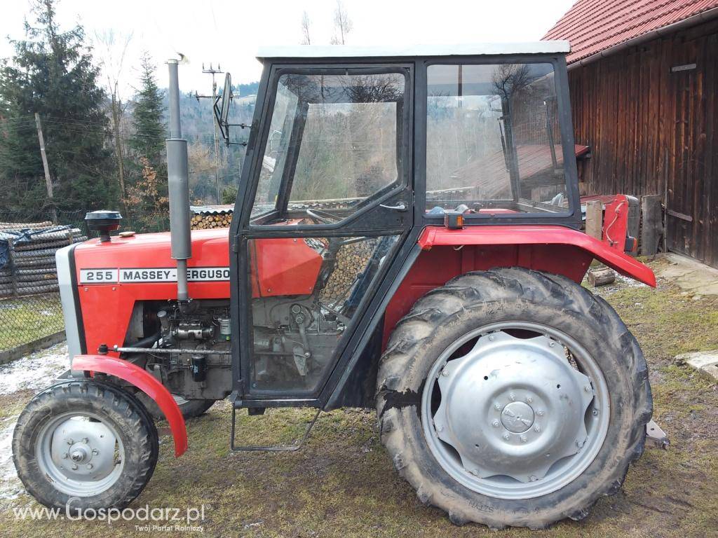 Massey Ferguson 255 5