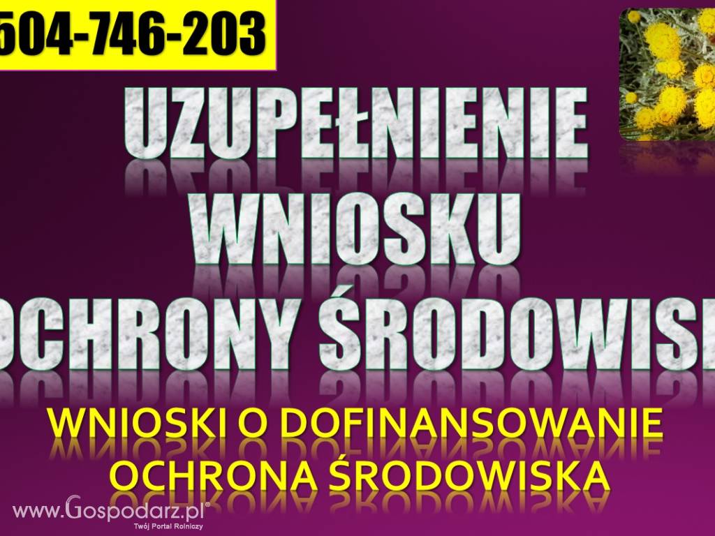 Ochrona środowiska, wypełnienie wniosku 4