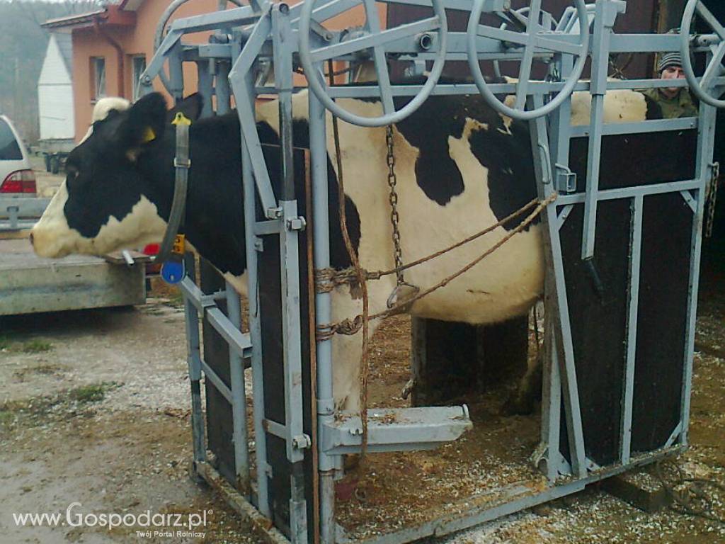 KOREKCJA RACIC ŁUKASZ WYSOCKI 515 391 187