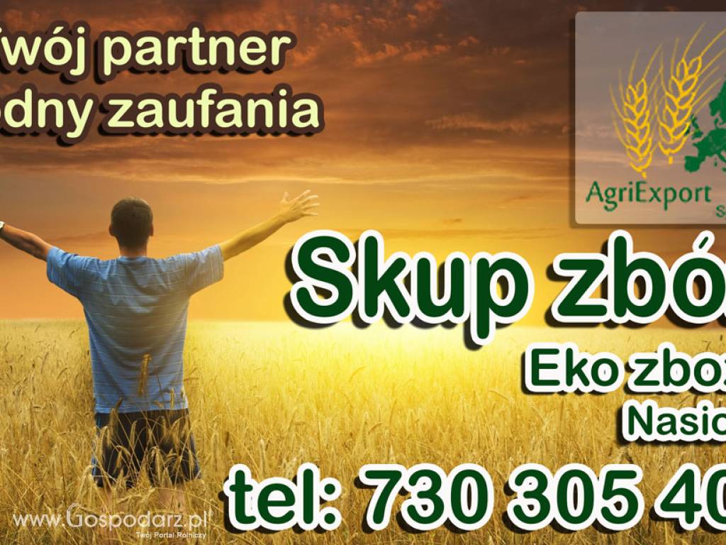Zboża