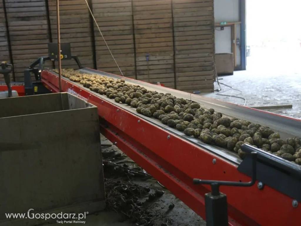 Pojedynczy przenośnik MC 780S Farmer DEWULF