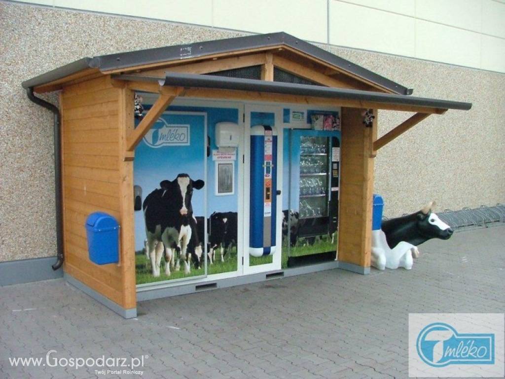Mlekomat wielozbiornikowy XL - drewniany