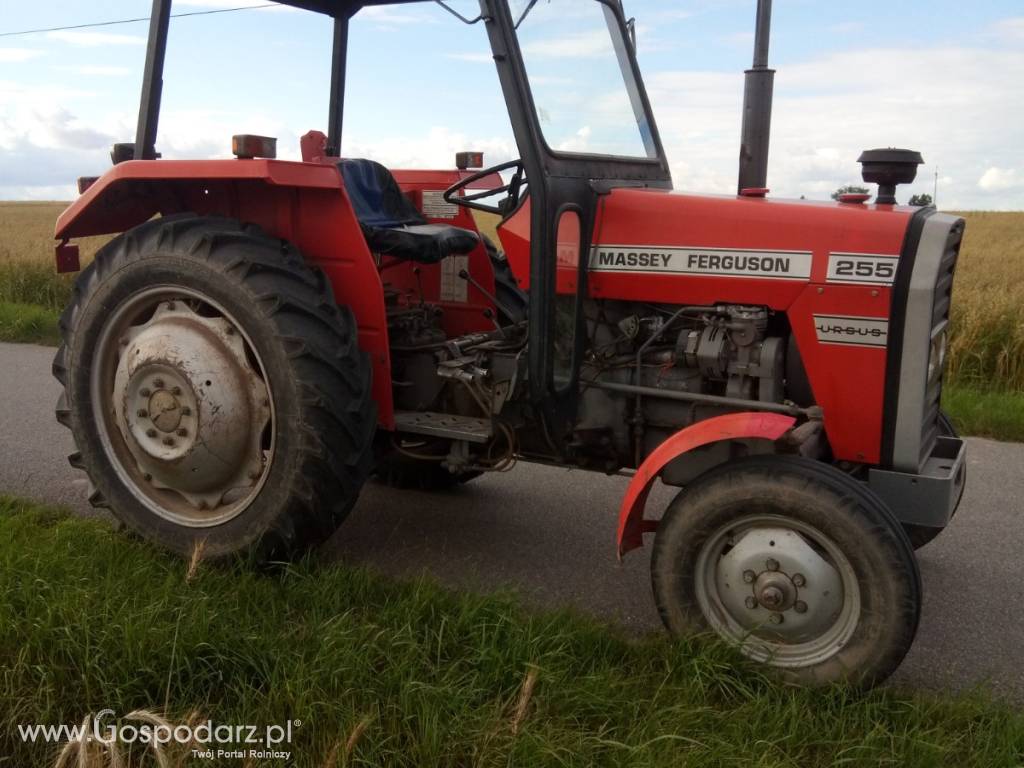 MASSEY FERGUSON 255 3