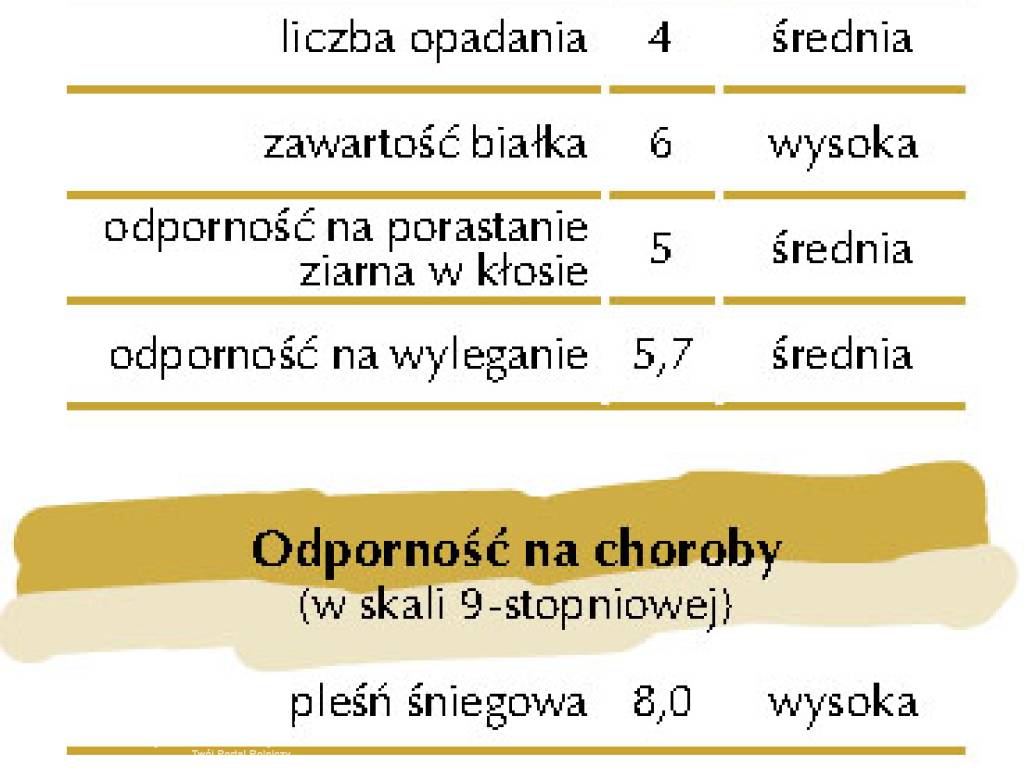 Kwalifikowane nasiona siewne żyto ozime Dańkowskie Rubin C1 Elbląg Olsztyn Braniewo 4