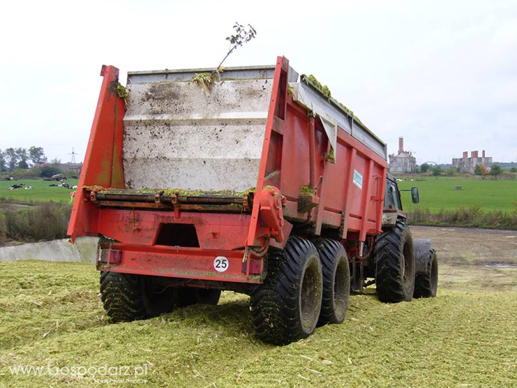 Rozrzutnik do obornika i wapna EV 2000 165-55 BG 12 TON 3