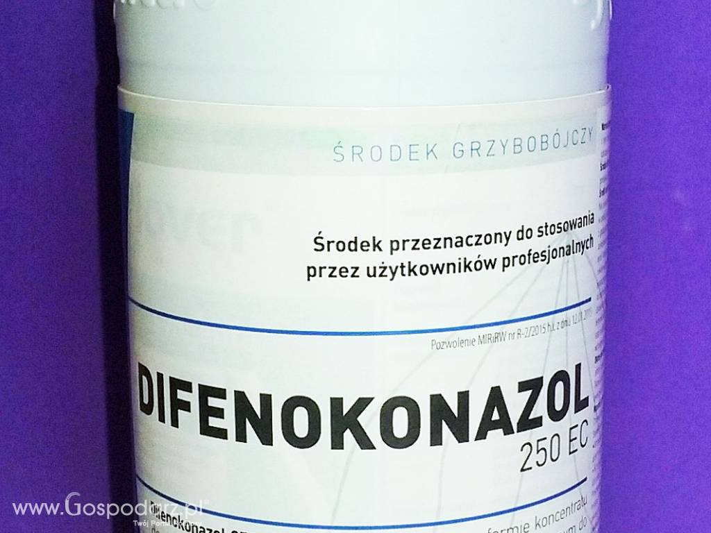 DIFENOKONAZOL 250 EC – ŚRODEK GRZYBOBÓJCZY