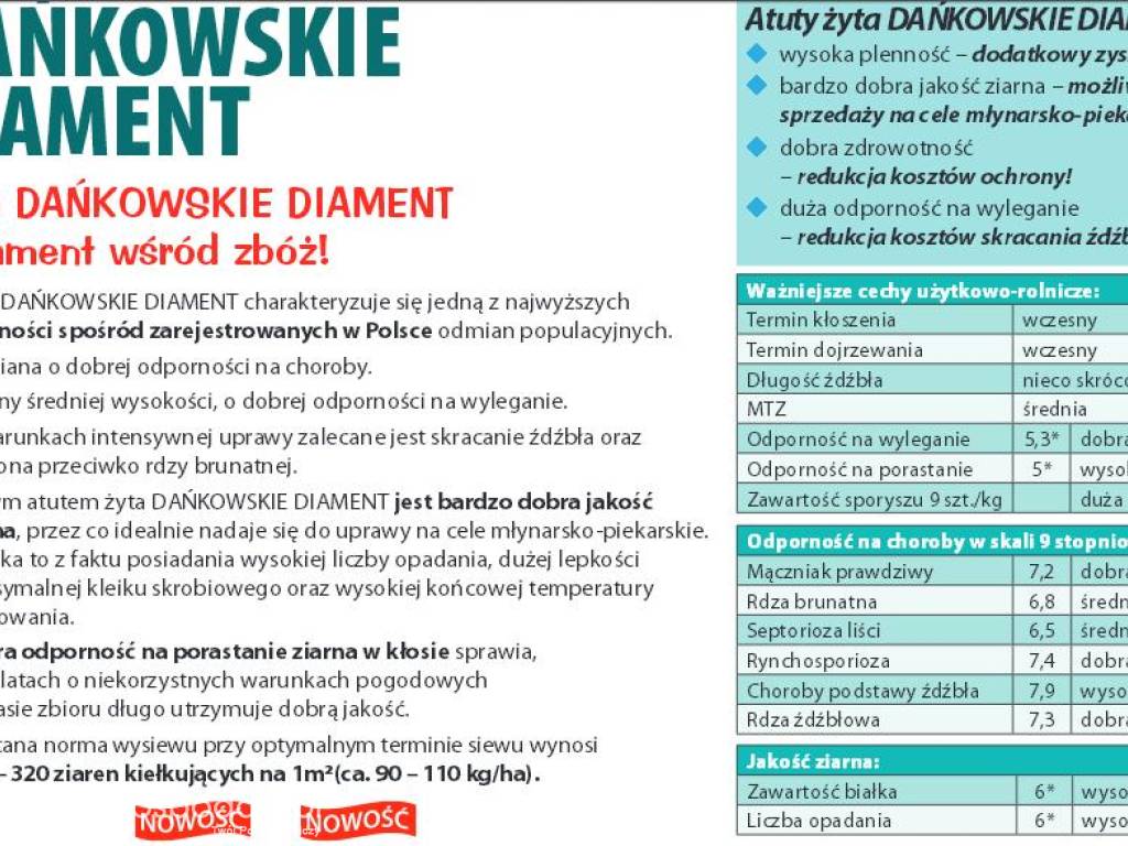 Sprzedam kwalifikowany C1 materiał siewny żyta ozimego Dańkowskie Diament 4