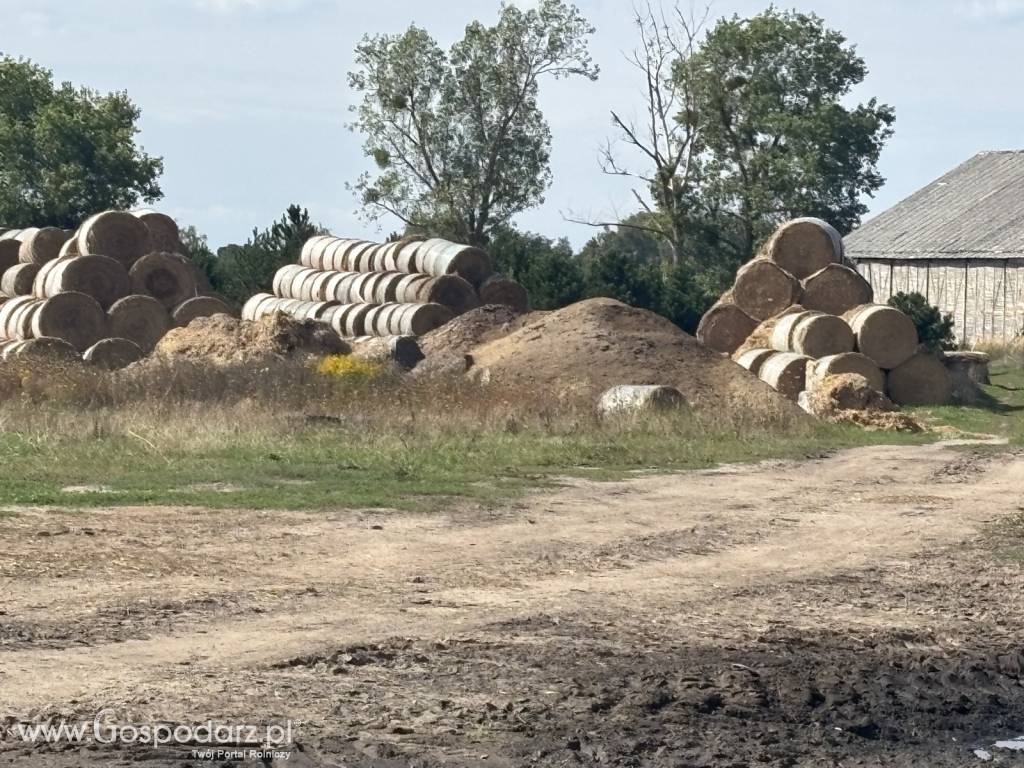 Pozostałości po czyszczeniu zboża 3