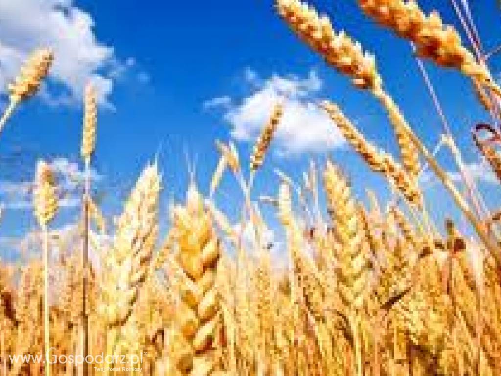 FINANSE DLA ROLNICTWA