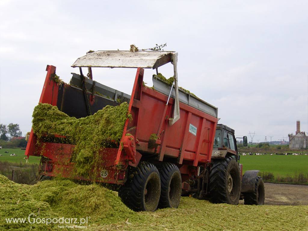 Rozrzutnik do obornika i wapna EV 2000 130-50 BG 10 TON 4