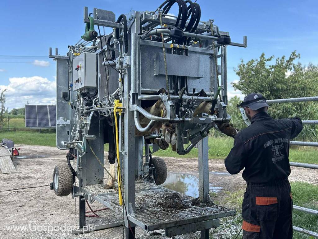 Korekcja Racic u bydła HoofCare