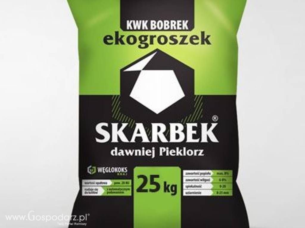 Węgiel Skarbek