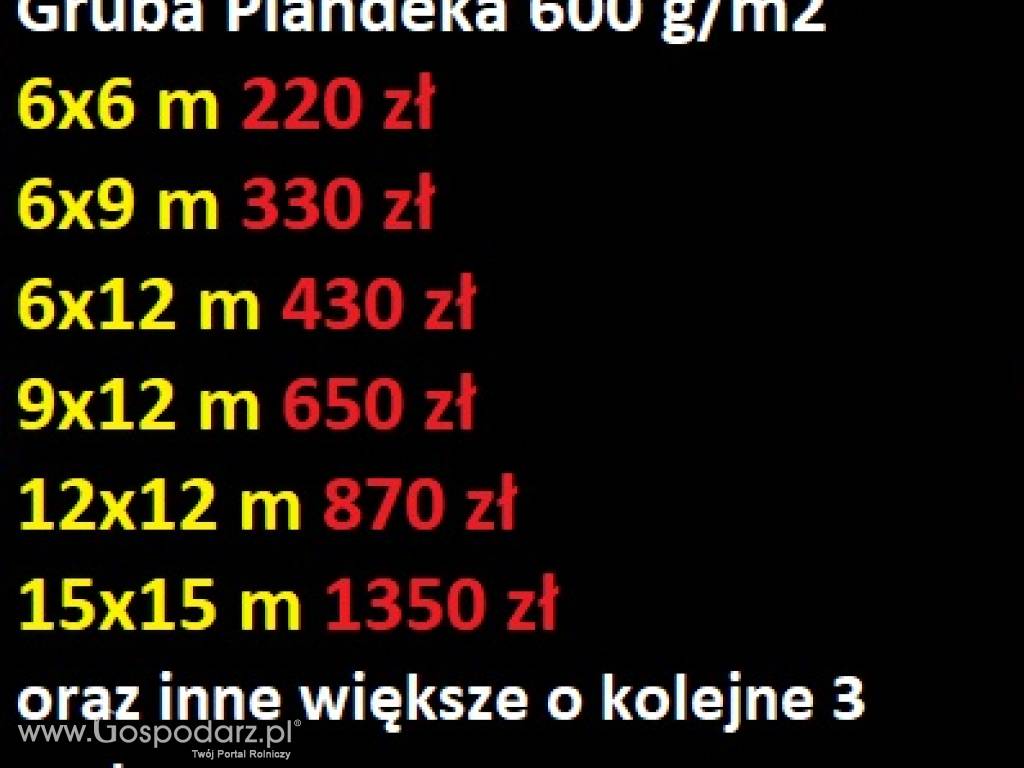 Plandeka rolnicza o różnych wymiarach 6x3 6x12 9x12 i INNE Plandeki rolnicze 8