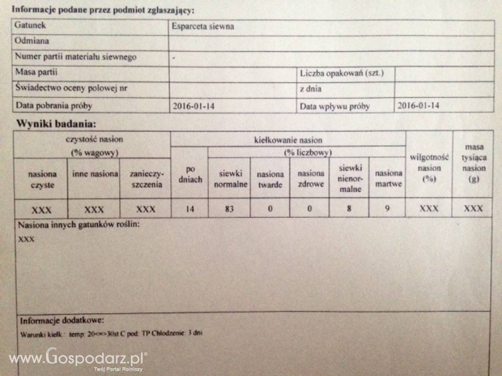 Esparceta siewna 6