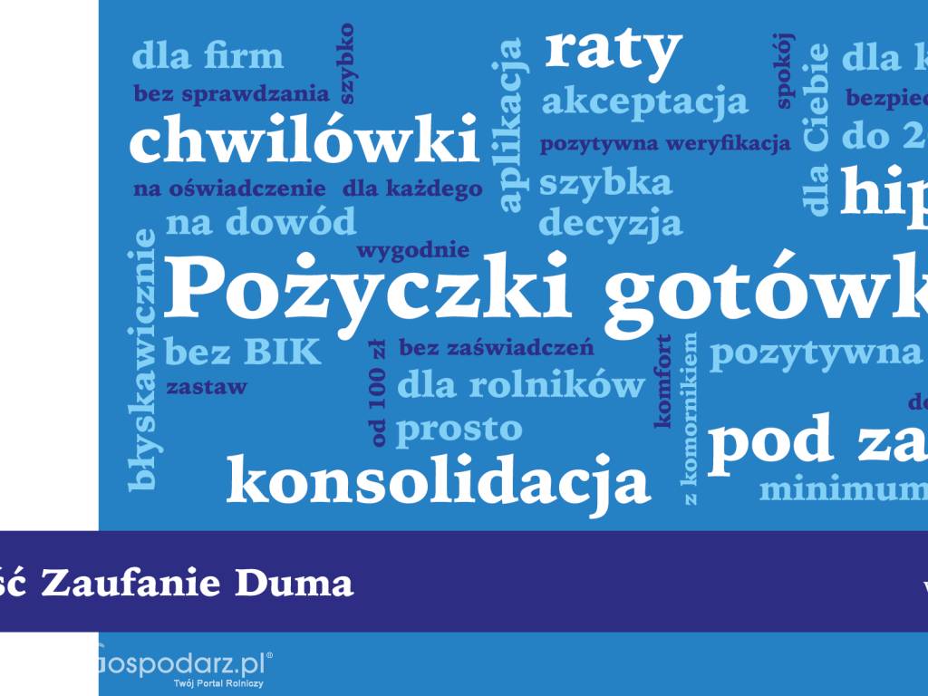 Pożyczki chwilówki, ratalne, konsolidacyjne, pod zastaw, pod hipotekę 6