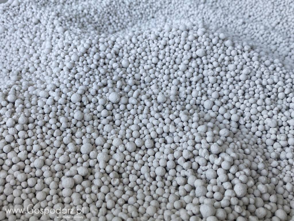 Wapno nawozowe i Kreda granulowana 3