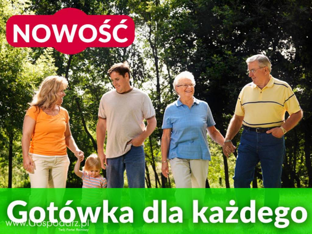 Nie posiadasz dochodów, a potrzebujesz szybkiej gotówki ?