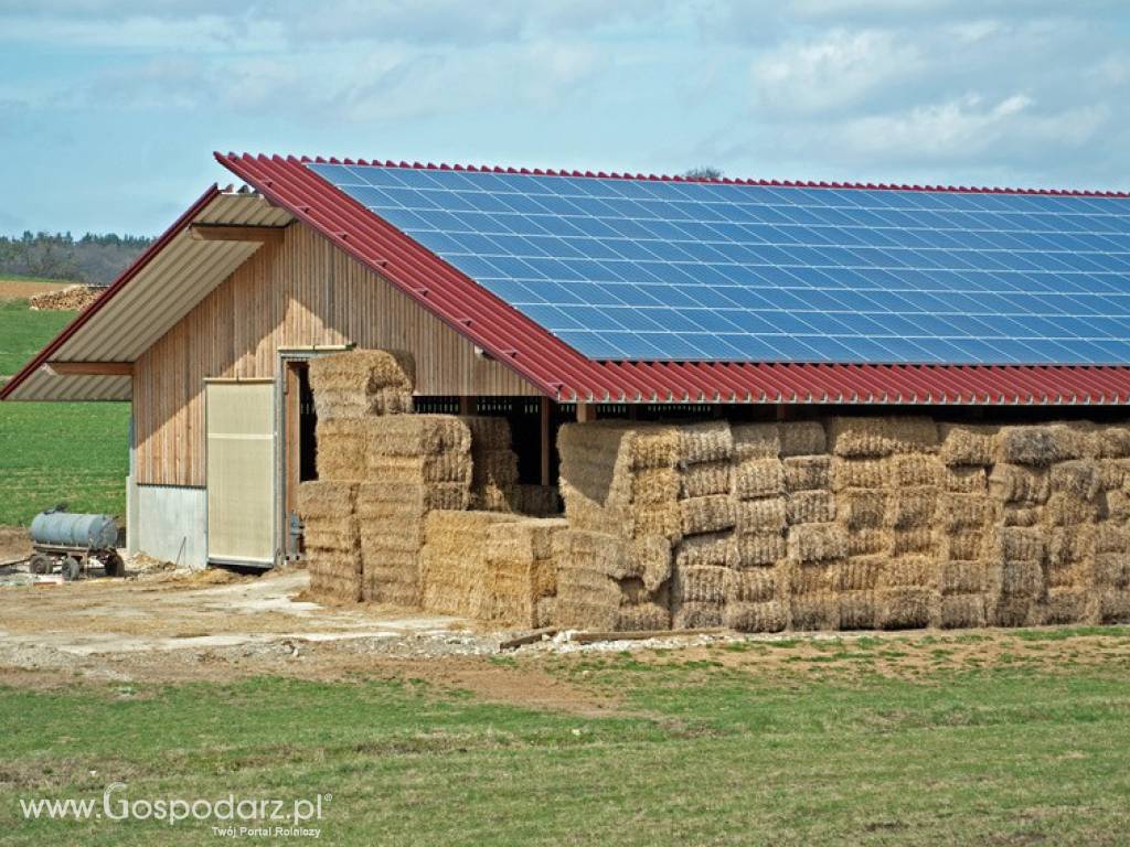 Niezależność energetyczna w zasięgu ręki - fotowoltaika i pompy ciepłą