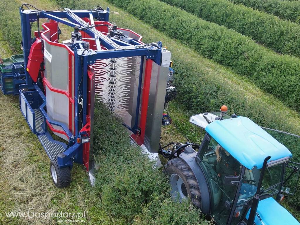 Kombajn całorzędowy do borówki JAGODA 300